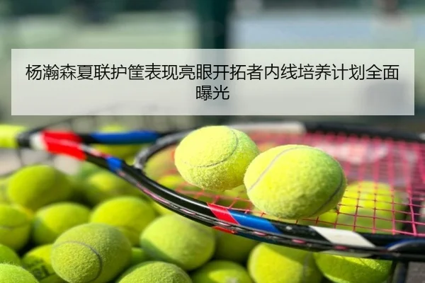 杨瀚森夏联护筐表现亮眼开拓者内线培养计划全面曝光