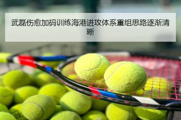 武磊伤愈加码训练海港进攻体系重组思路逐渐清晰
